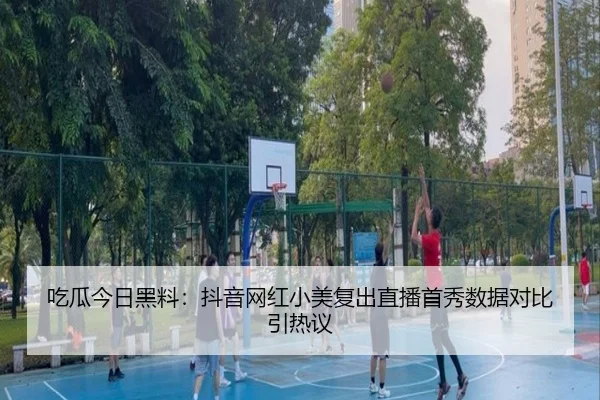 chi-gua-jin-ri-hei-liao-dou-yin-wang-hong-xiao-mei-fu-chu-zhi-bo-shou-xiu-shu-ju-dui-bi-yin-re-yi-2-778.jpg